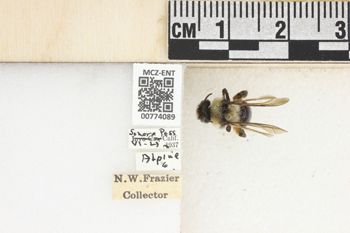 Media type: image;   Entomology 774089 Aspect: Labels